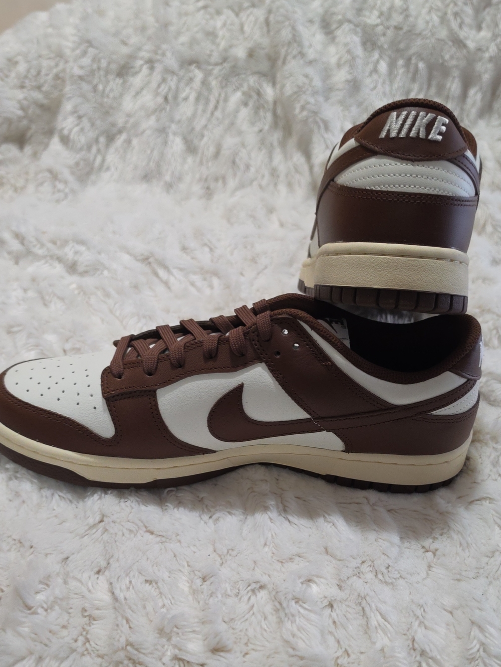 Nike Men’s Low-Top Sneakers in Brown and White